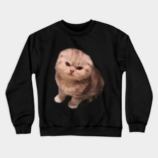 Angry Cat Crewneck Sweatshirt